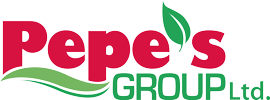 Pepe's Group Ltd.